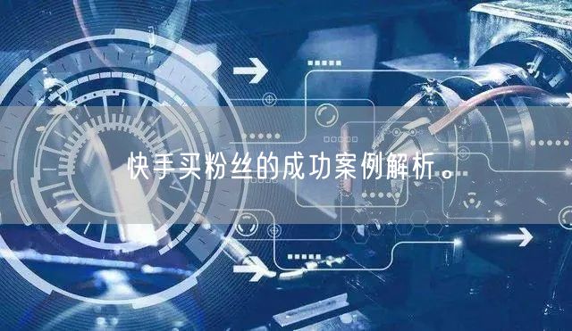 快手买粉丝的成功案例解析。