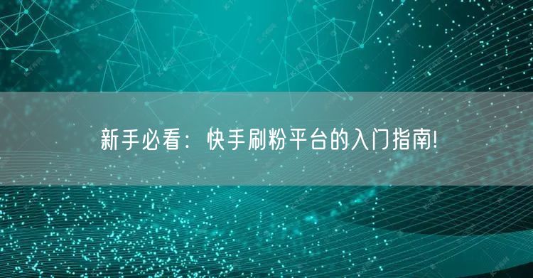 新手必看:快手刷粉平台的入门指南!