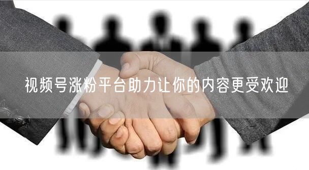 视频号涨粉平台助力让你的内容更受欢迎