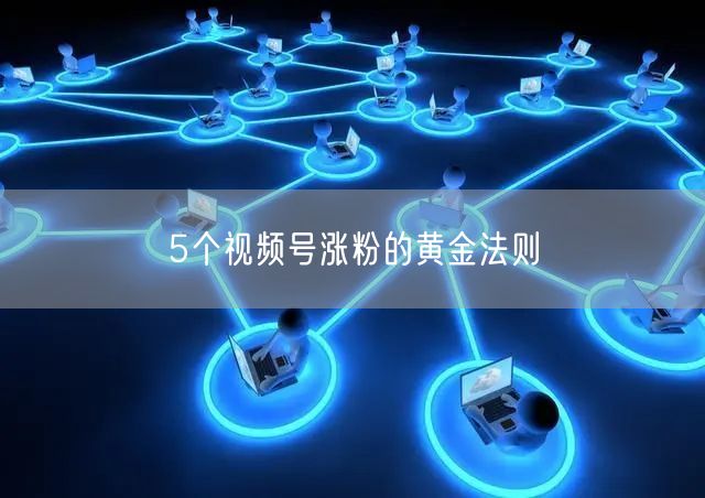5个视频号涨粉的黄金法则