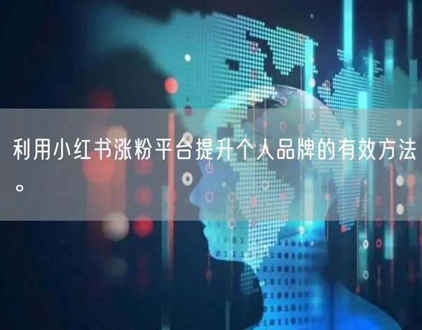 利用小红书涨粉平台提升个人品牌的有效方法。