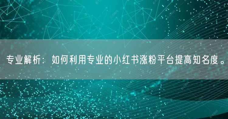 专业解析:如何利用专业的小红书涨粉平台提高知名度。