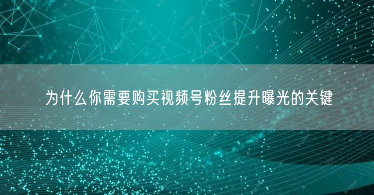 为什么你需要购买视频号粉丝提升曝光的关键