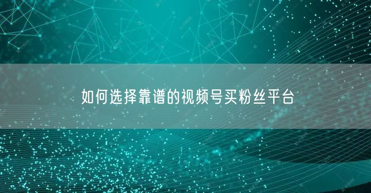 如何选择靠谱的视频号买粉丝平台