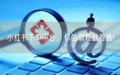 小红书下单平台，你的刷粉丝首选!