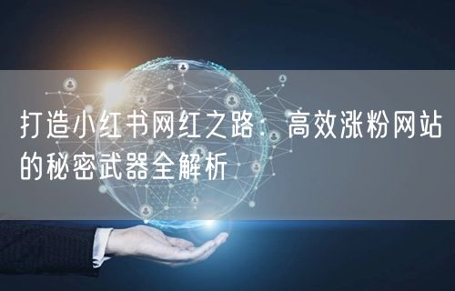 打造小红书网红之路：高效涨粉网站的秘密武器全解析