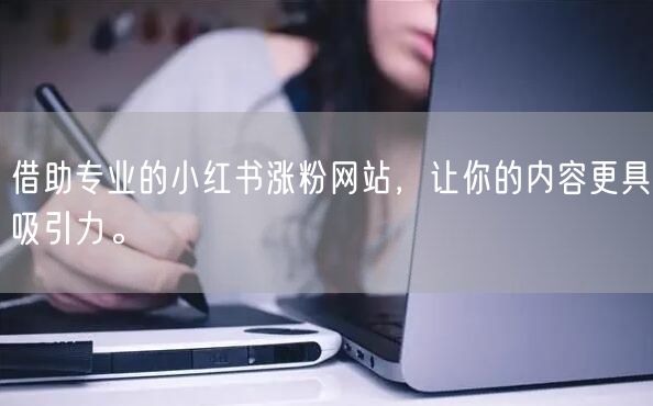 借助专业的小红书涨粉网站,让你的内容更具吸引力。