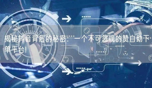揭秘抖音背后的秘密:一个不可忽视的赞自助下单平台!