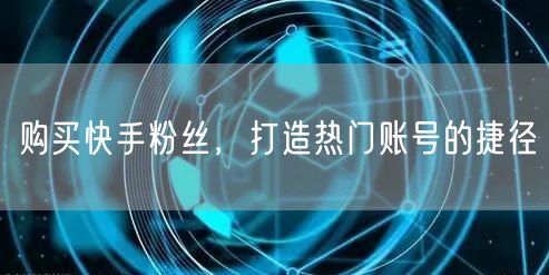 购买快手粉丝，打造热门账号的捷径