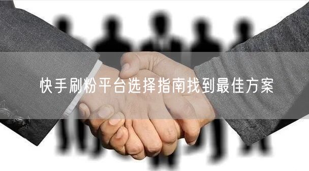 快手刷粉平台选择指南找到最佳方案