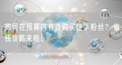 如何在预算内有效购买快手粉丝？省钱攻略来啦！